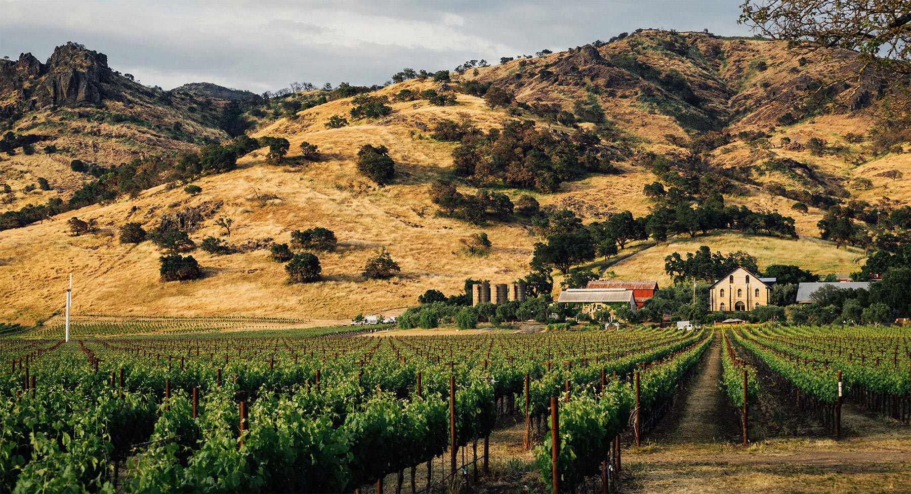 The Regusci Ranch