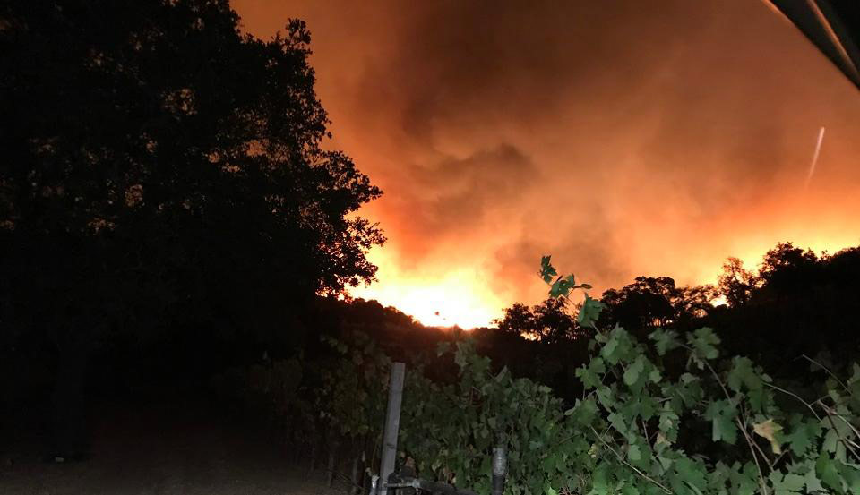 Regusci Fire Video