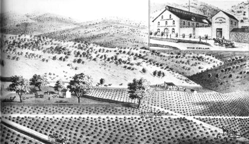 regusci historical sketch distillery
