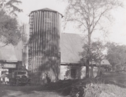 Regusci Silo