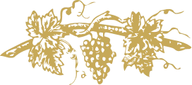 vine logo