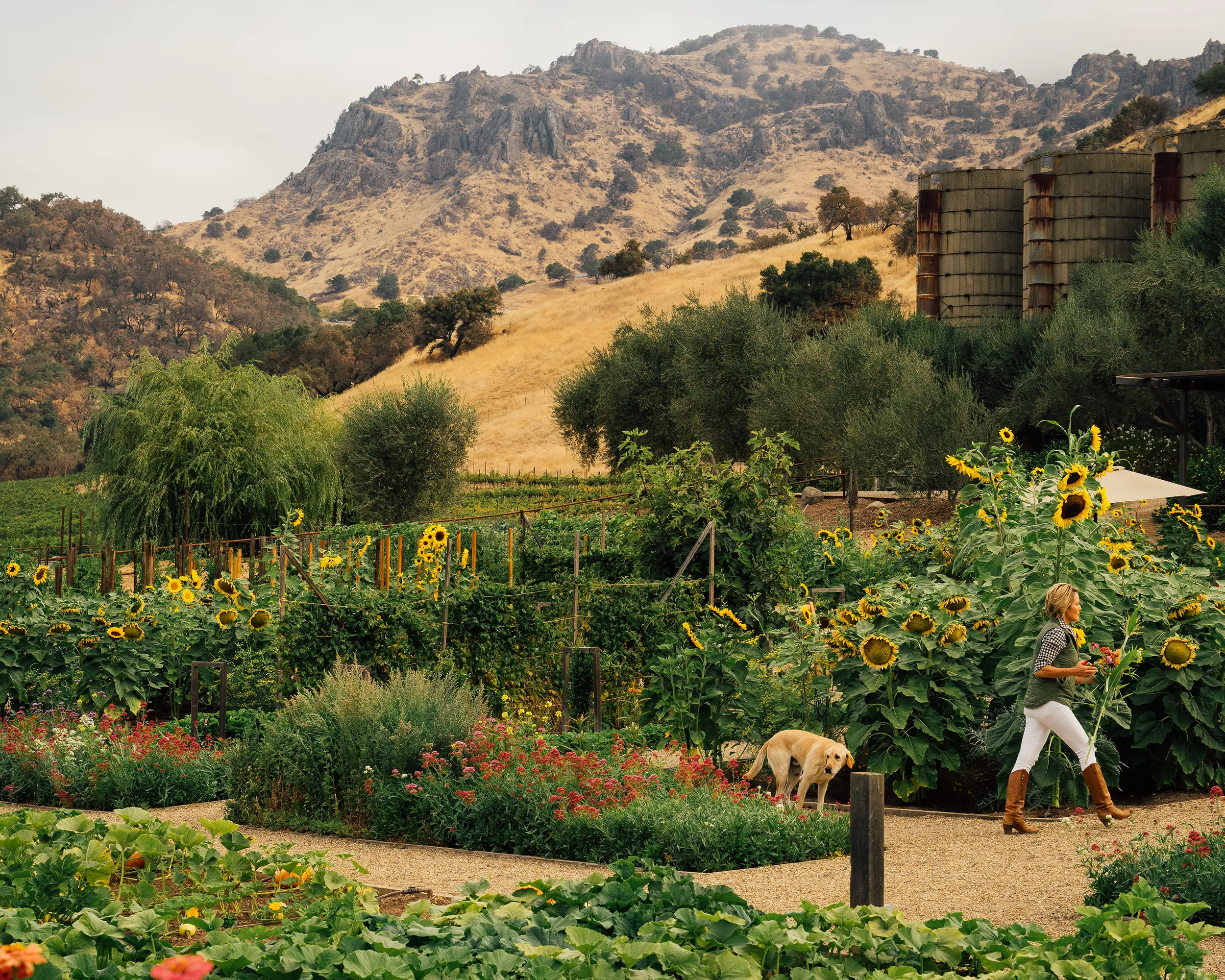Culinary Garden